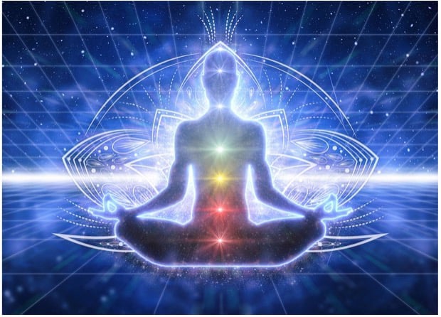 Try Wealth DNA